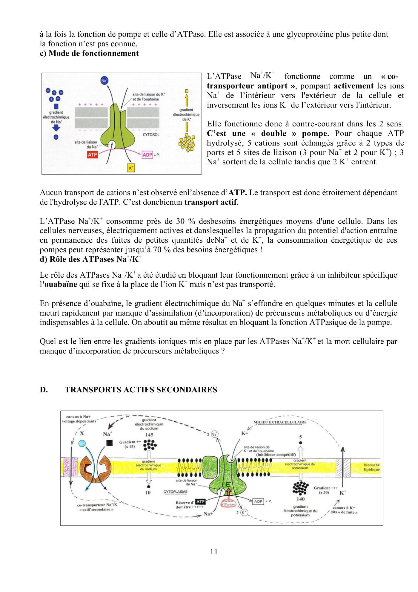 Perméabilité membranaire nogueira — page 12