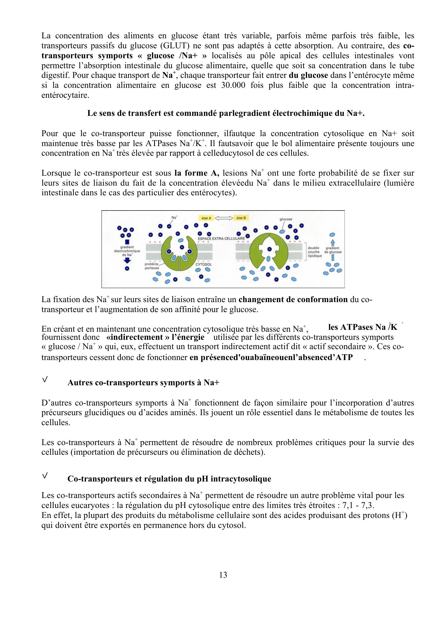 Perméabilité membranaire nogueira — page 14