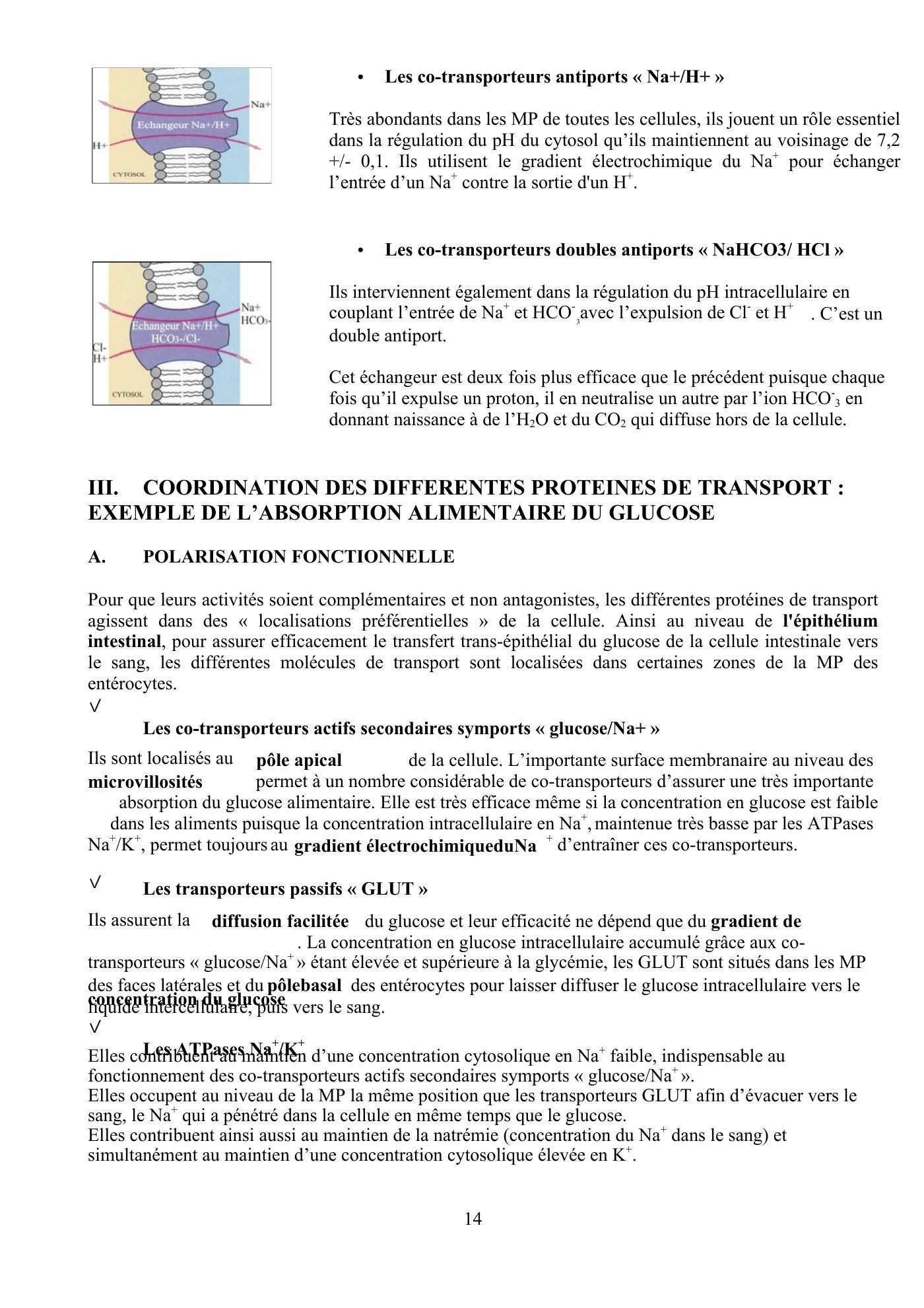 Perméabilité membranaire nogueira — page 15