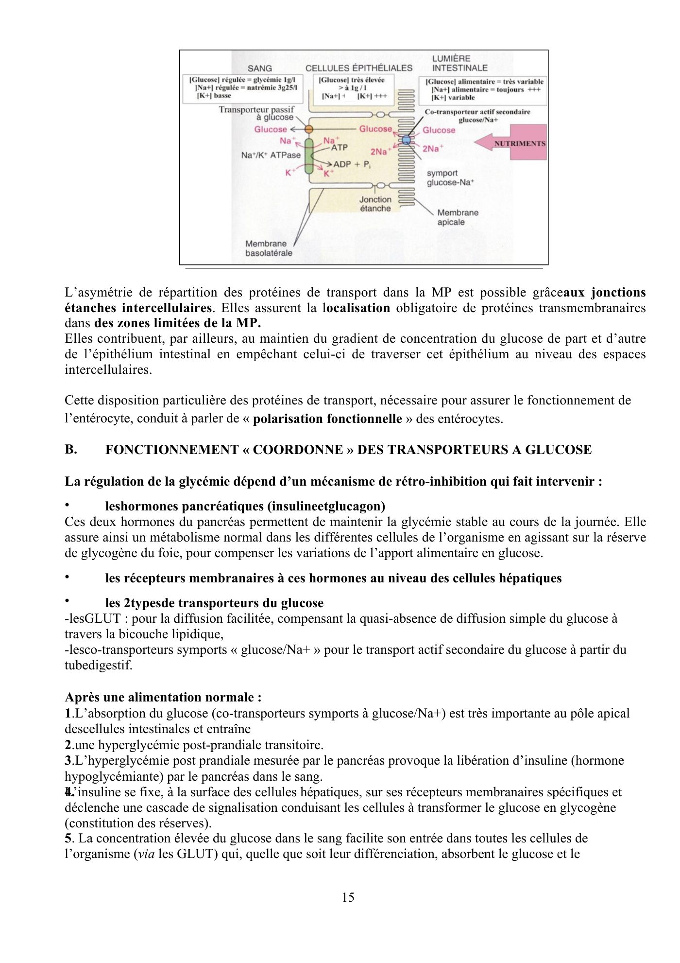 Perméabilité membranaire nogueira — page 16