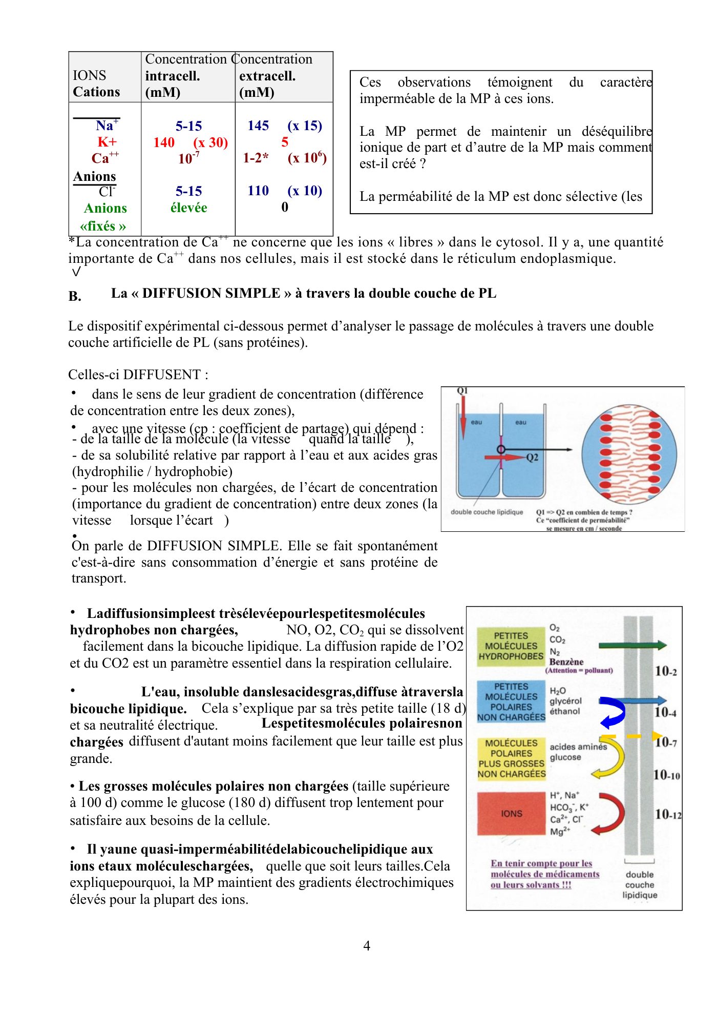 Perméabilité membranaire nogueira — page 5