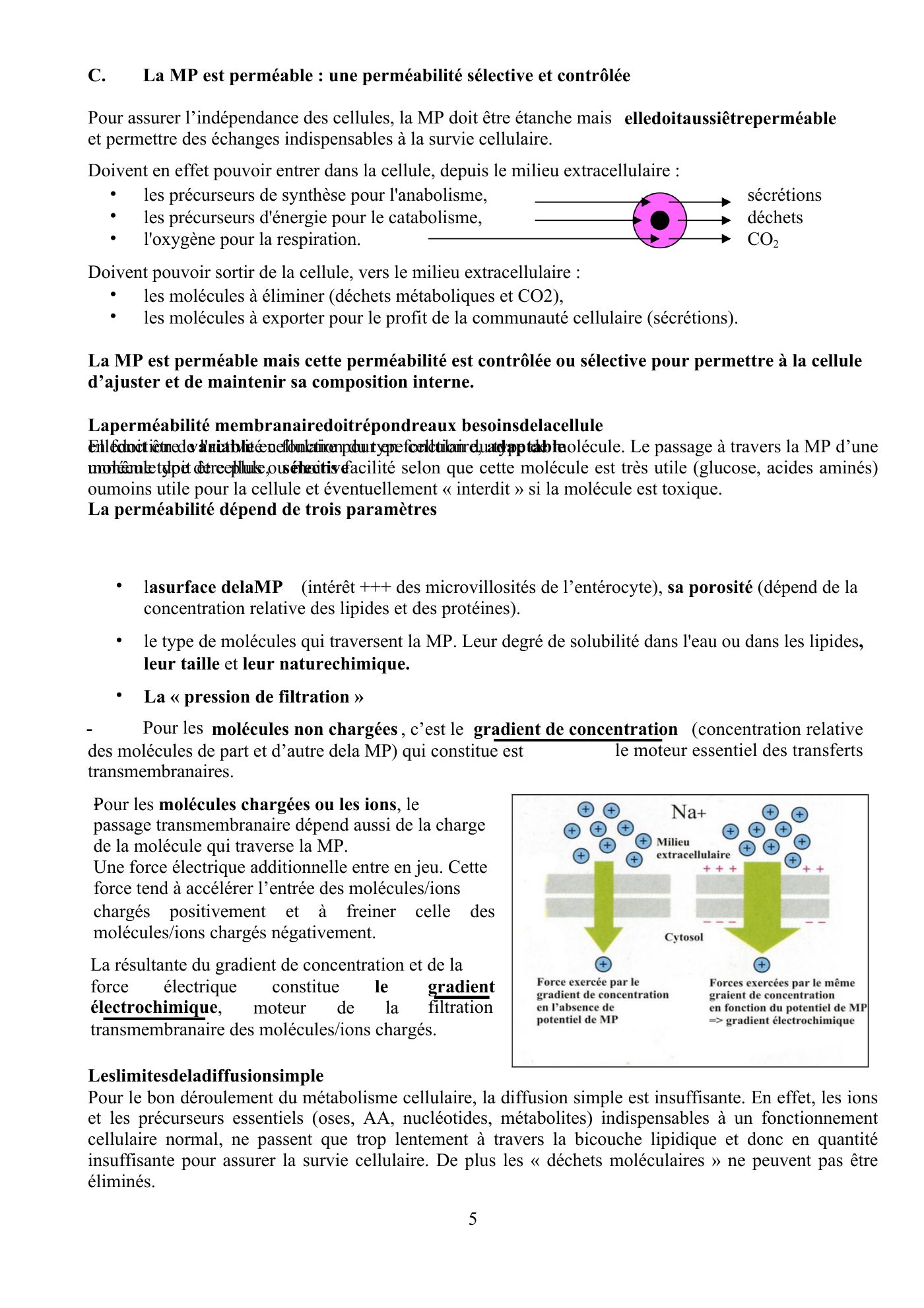 Perméabilité membranaire nogueira — page 6