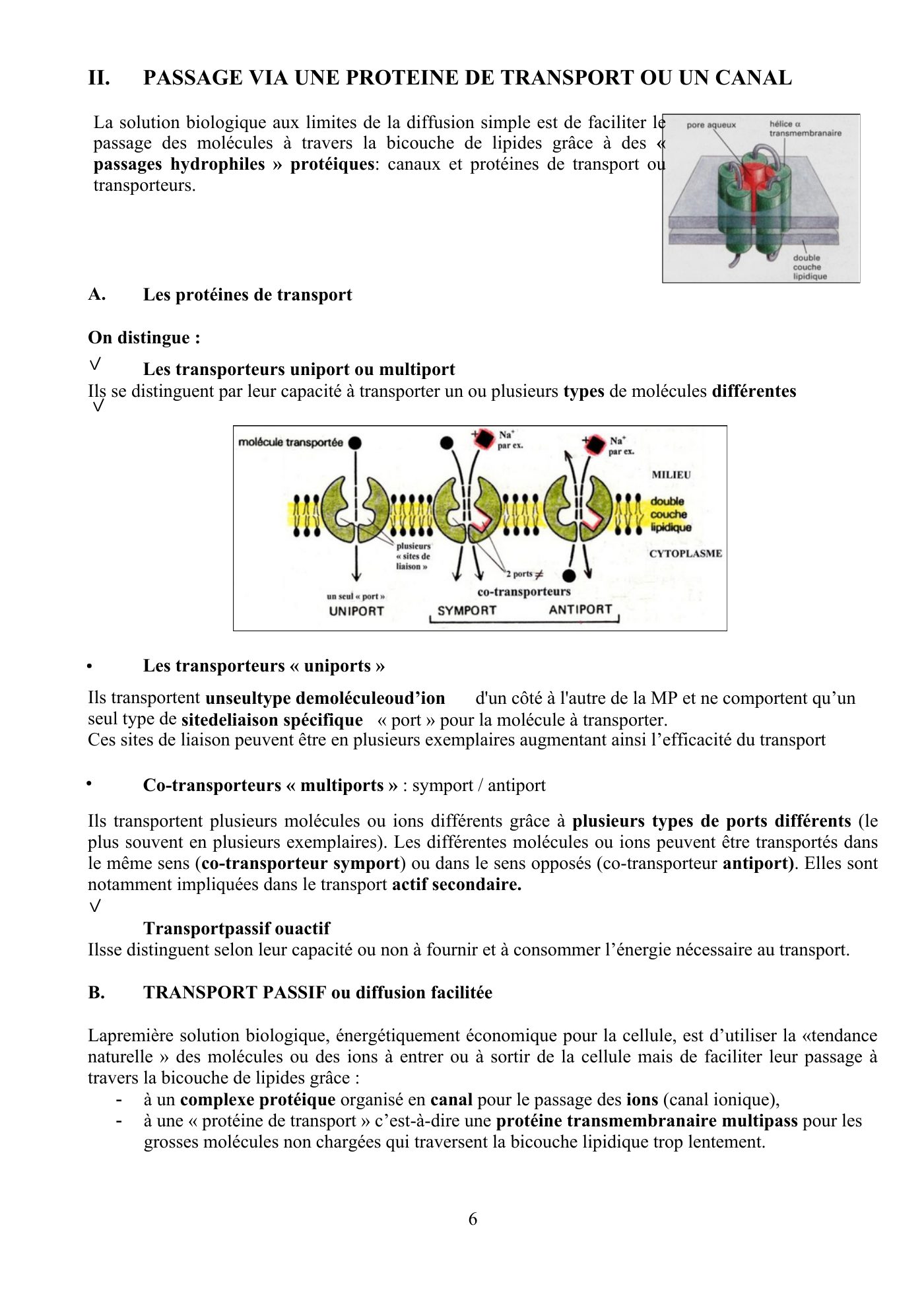 Perméabilité membranaire nogueira — page 7