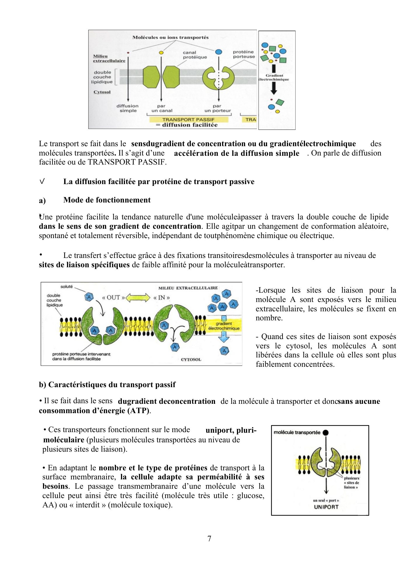 Perméabilité membranaire nogueira — page 8