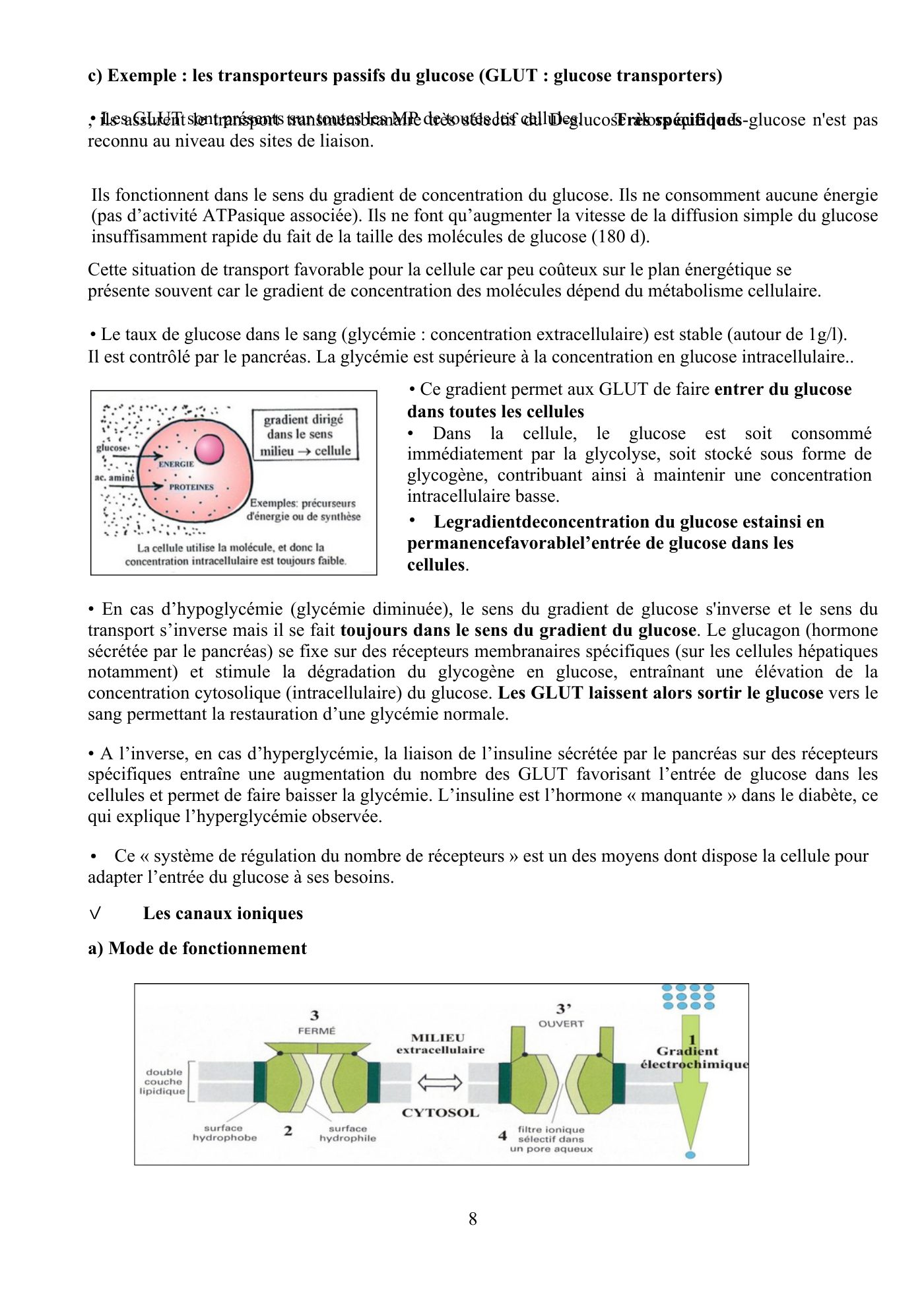 Perméabilité membranaire nogueira — page 9