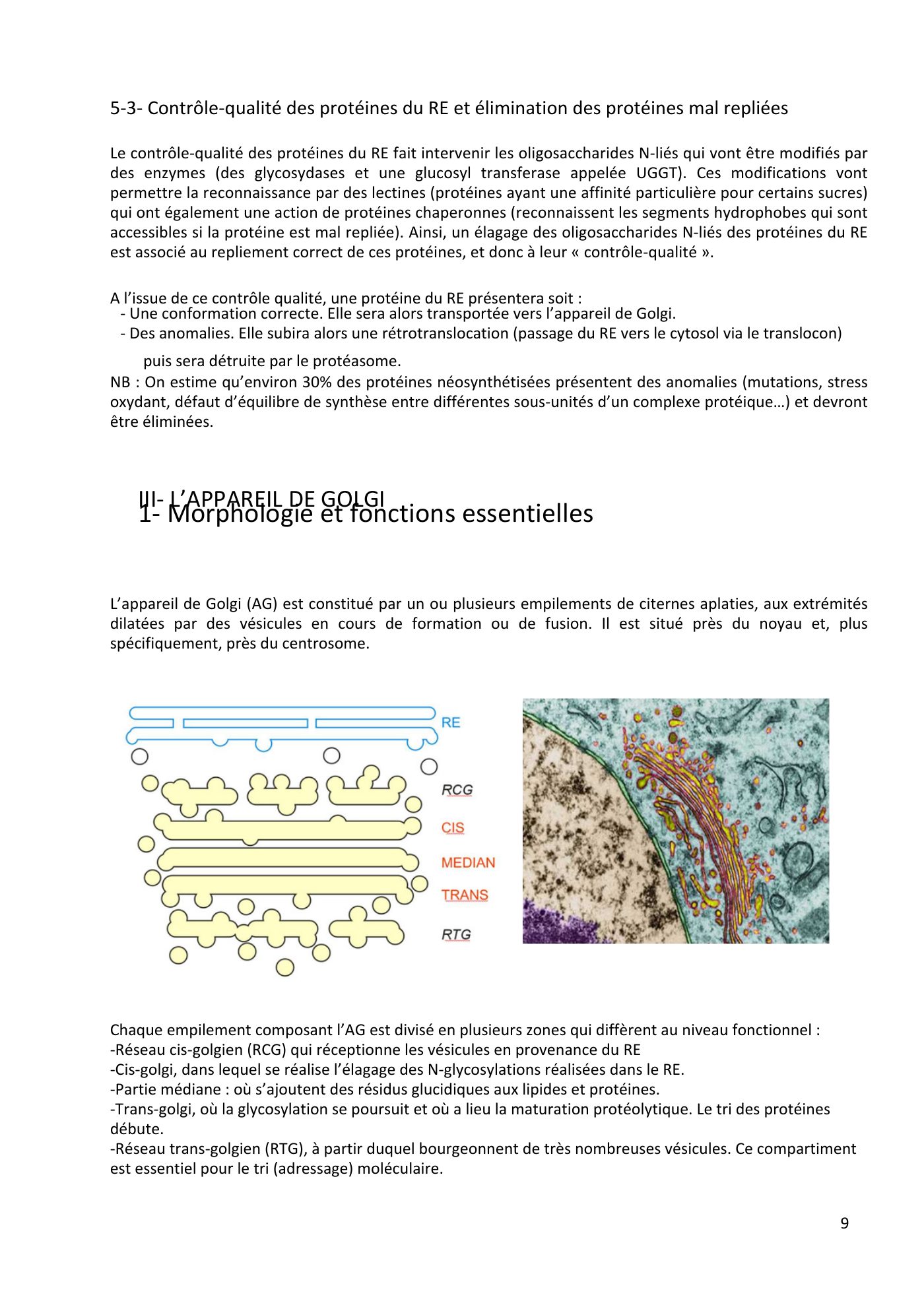 Système endomembranaire et trafic intracellulaire jonca — page 10
