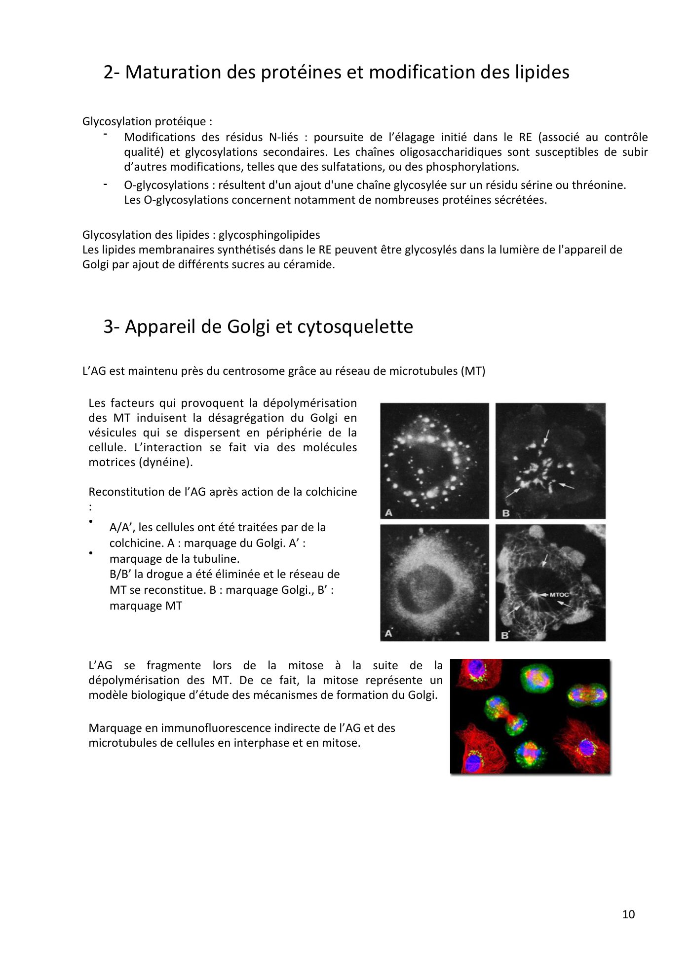 Système endomembranaire et trafic intracellulaire jonca — page 11