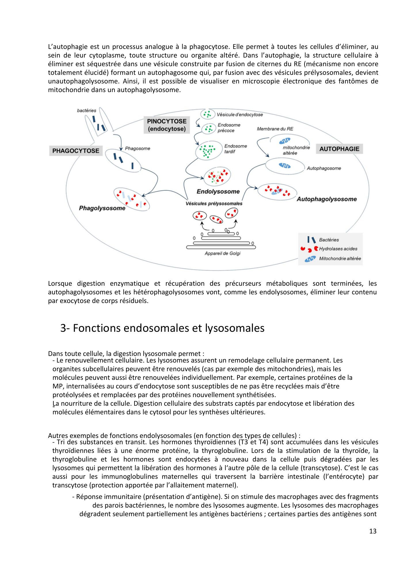 Système endomembranaire et trafic intracellulaire jonca — page 14