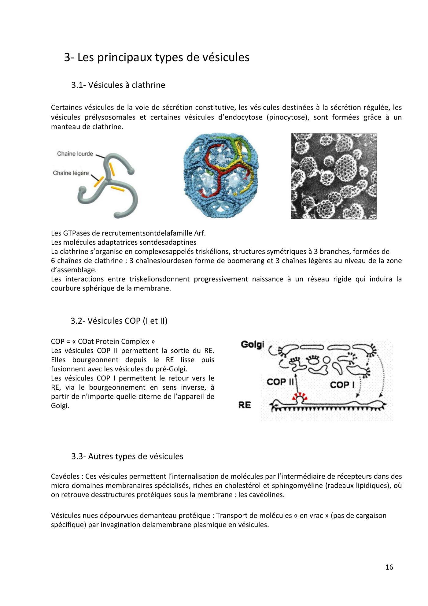 Système endomembranaire et trafic intracellulaire jonca — page 17