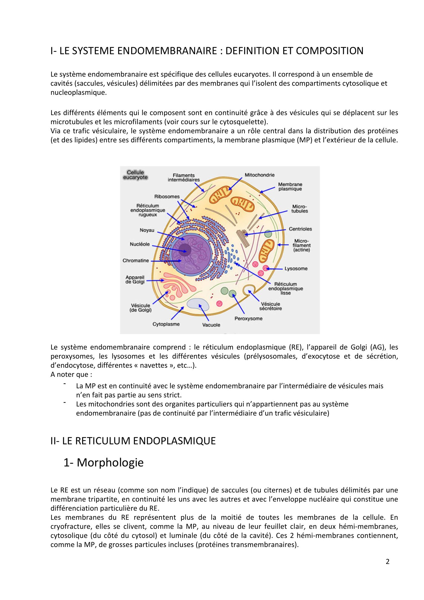 Système endomembranaire et trafic intracellulaire jonca — page 3
