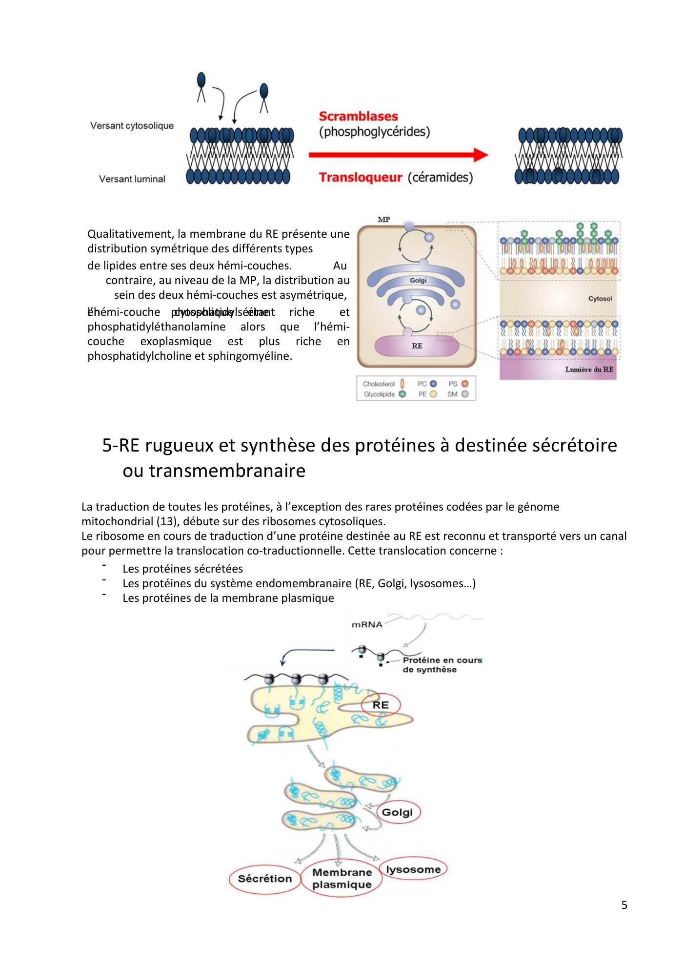 Système endomembranaire et trafic intracellulaire jonca — page 6