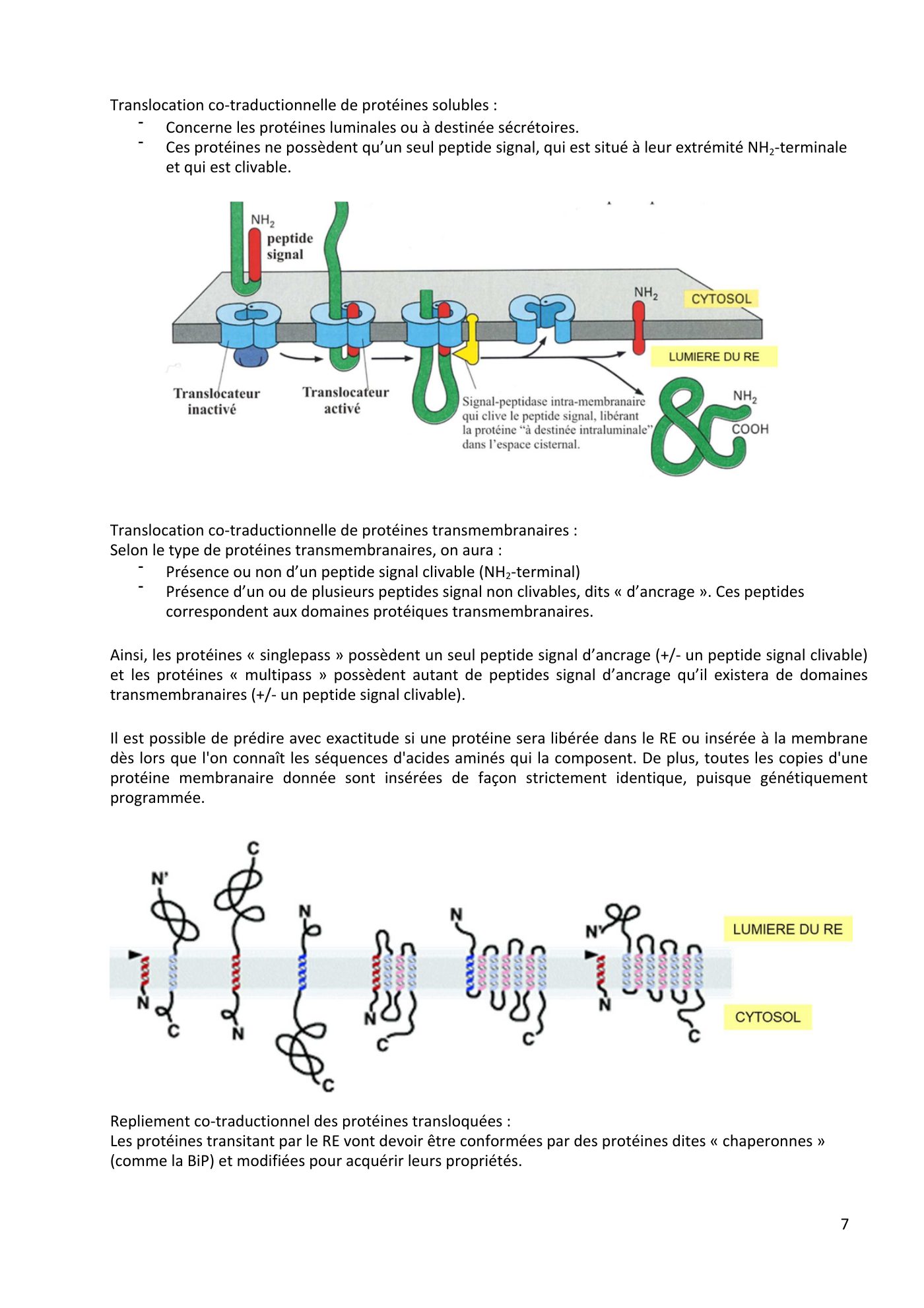 Système endomembranaire et trafic intracellulaire jonca — page 8