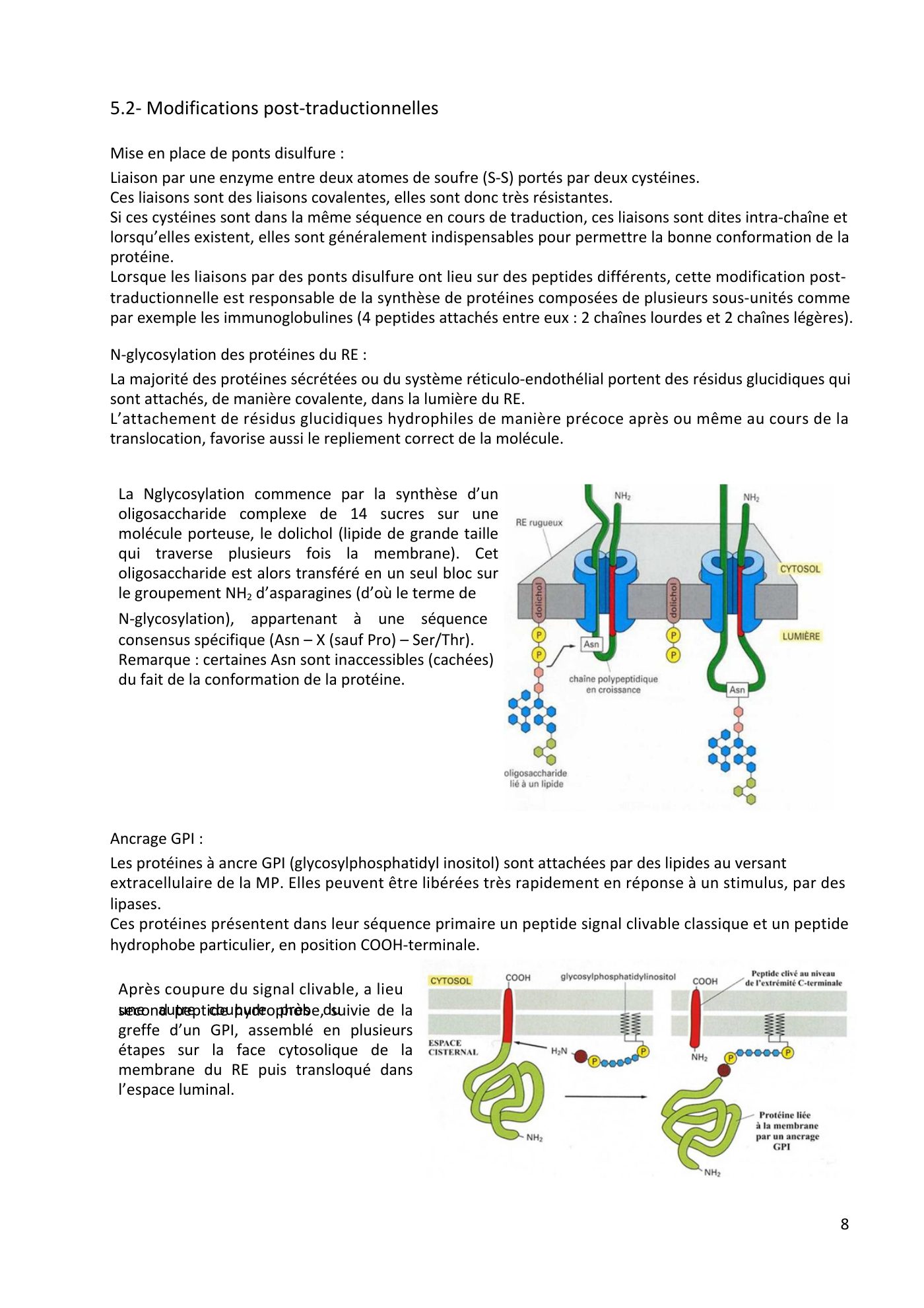 Système endomembranaire et trafic intracellulaire jonca — page 9