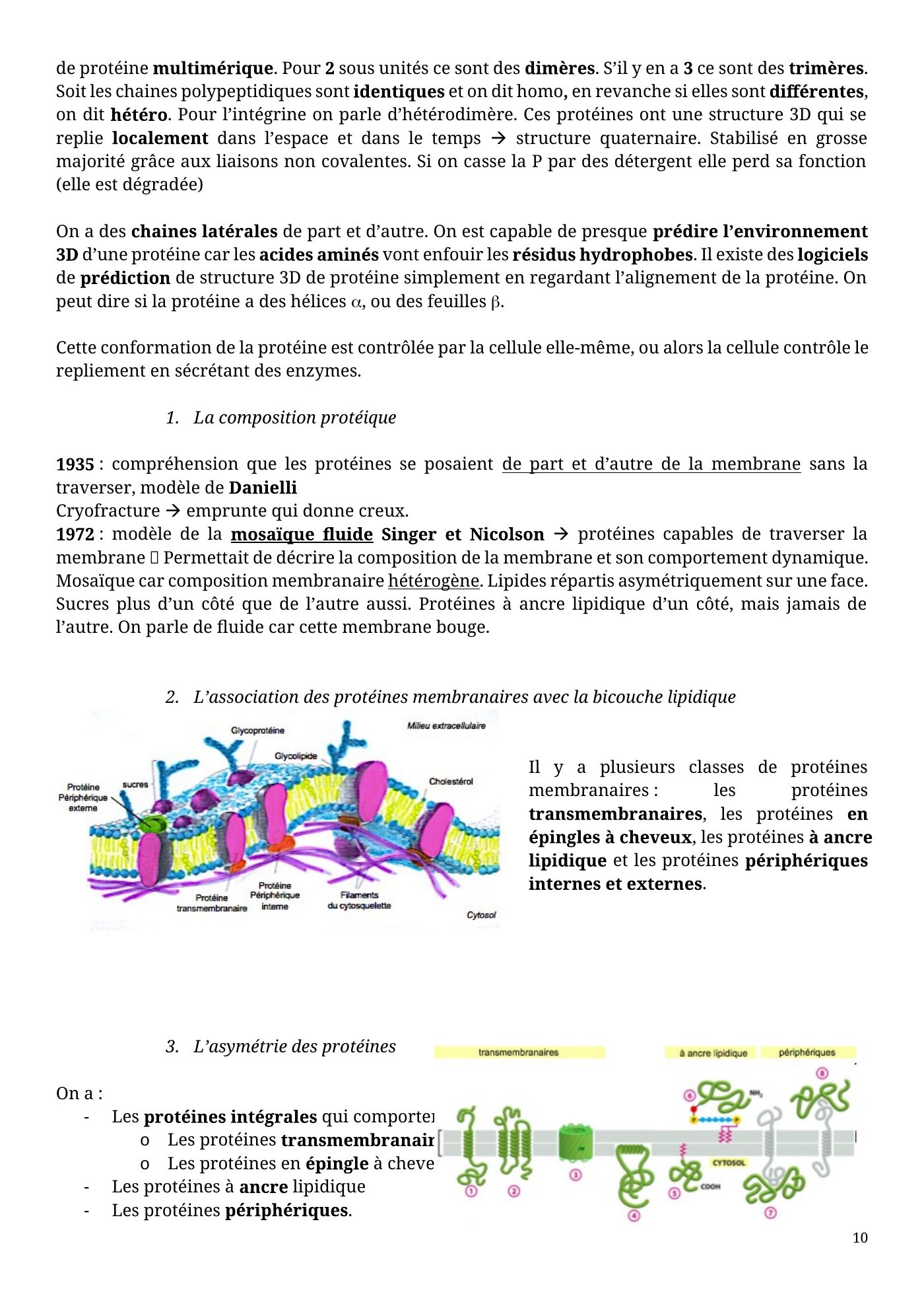 Architecture membranaire — page 10