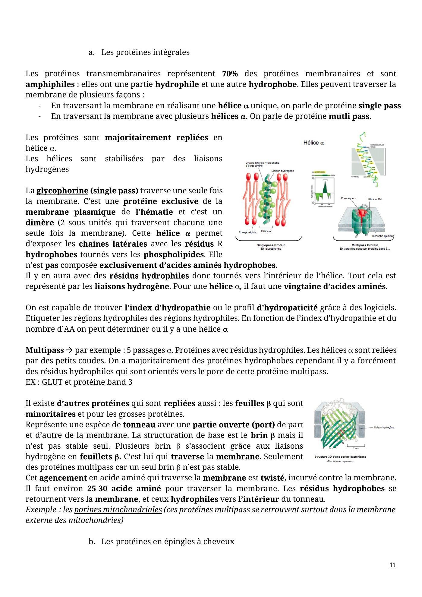 Architecture membranaire — page 11