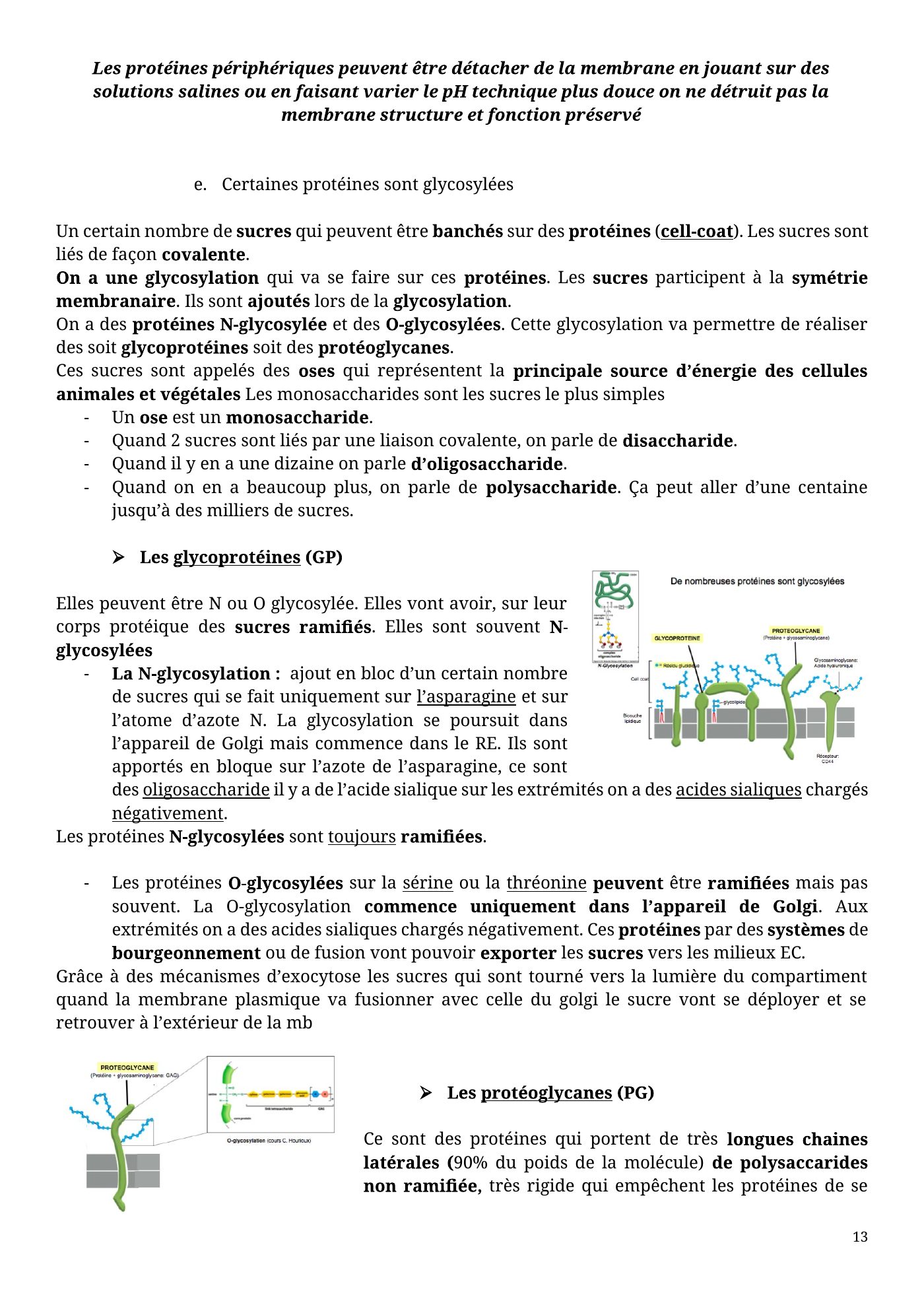 Architecture membranaire — page 13