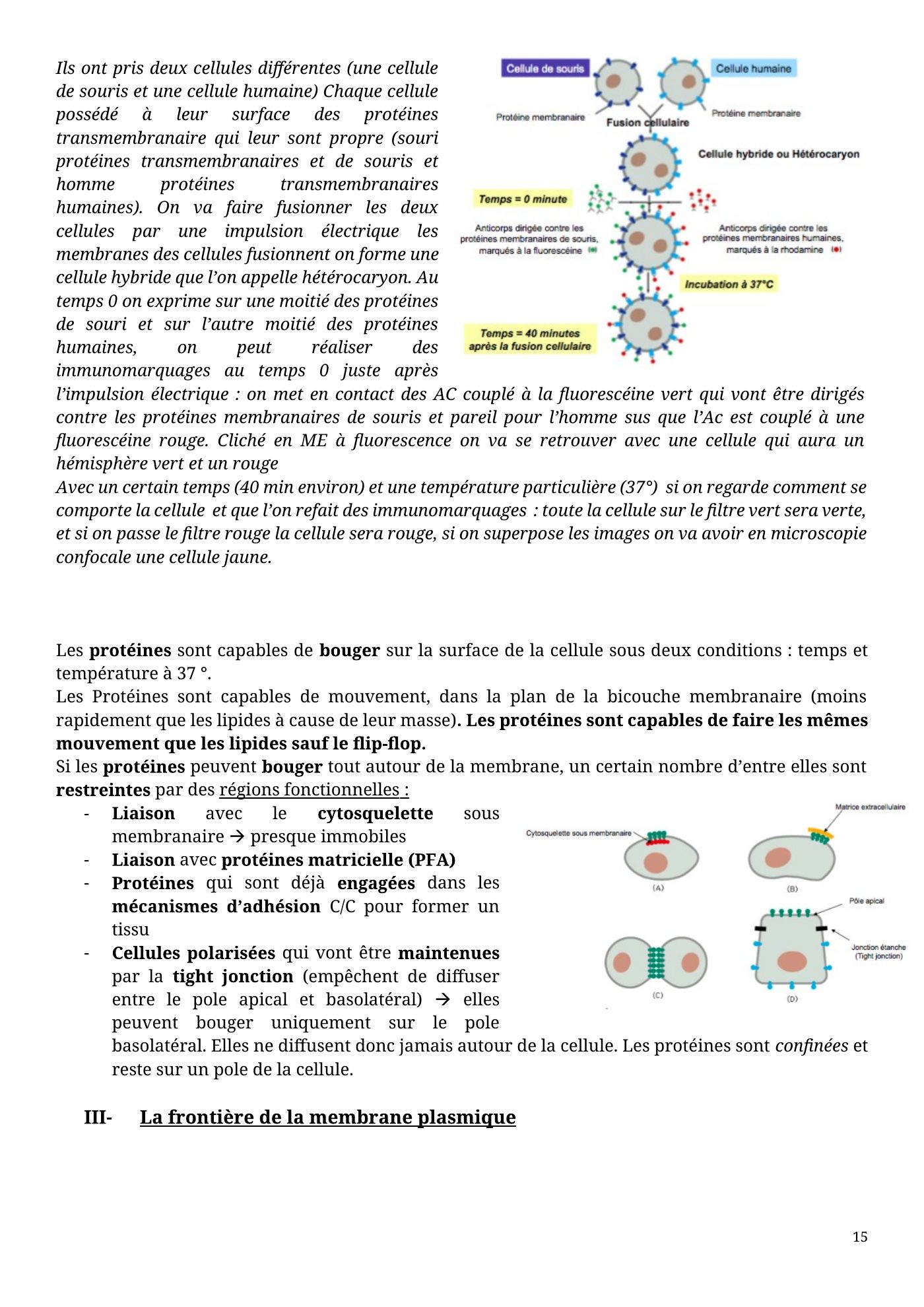 Architecture membranaire — page 15