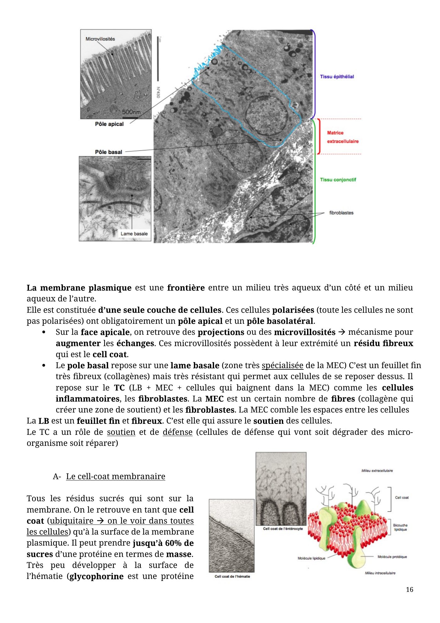 Architecture membranaire — page 16