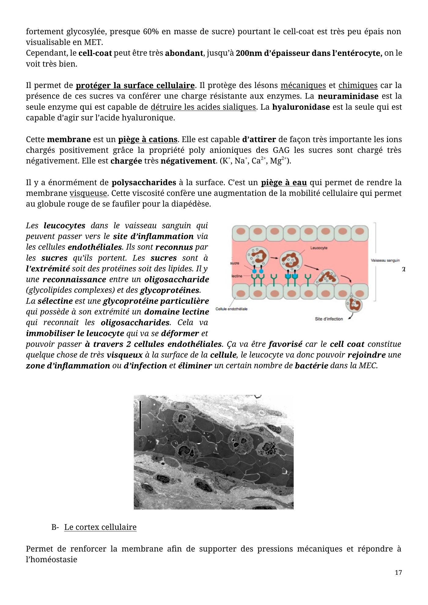 Architecture membranaire — page 17