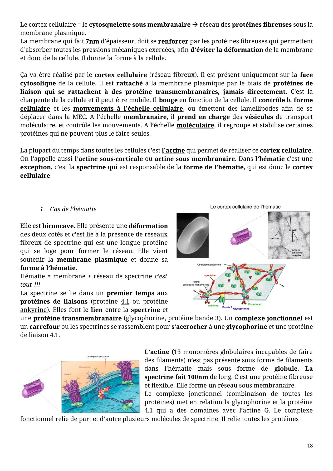 Architecture membranaire — page 18