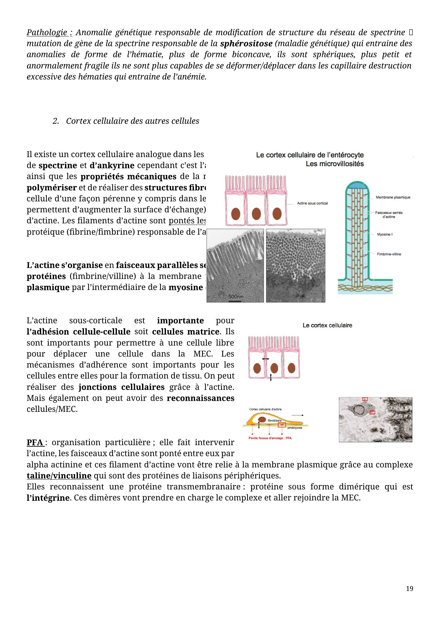Architecture membranaire — page 19