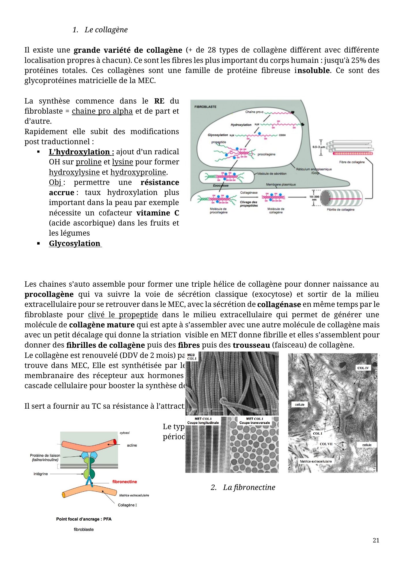 Architecture membranaire — page 21