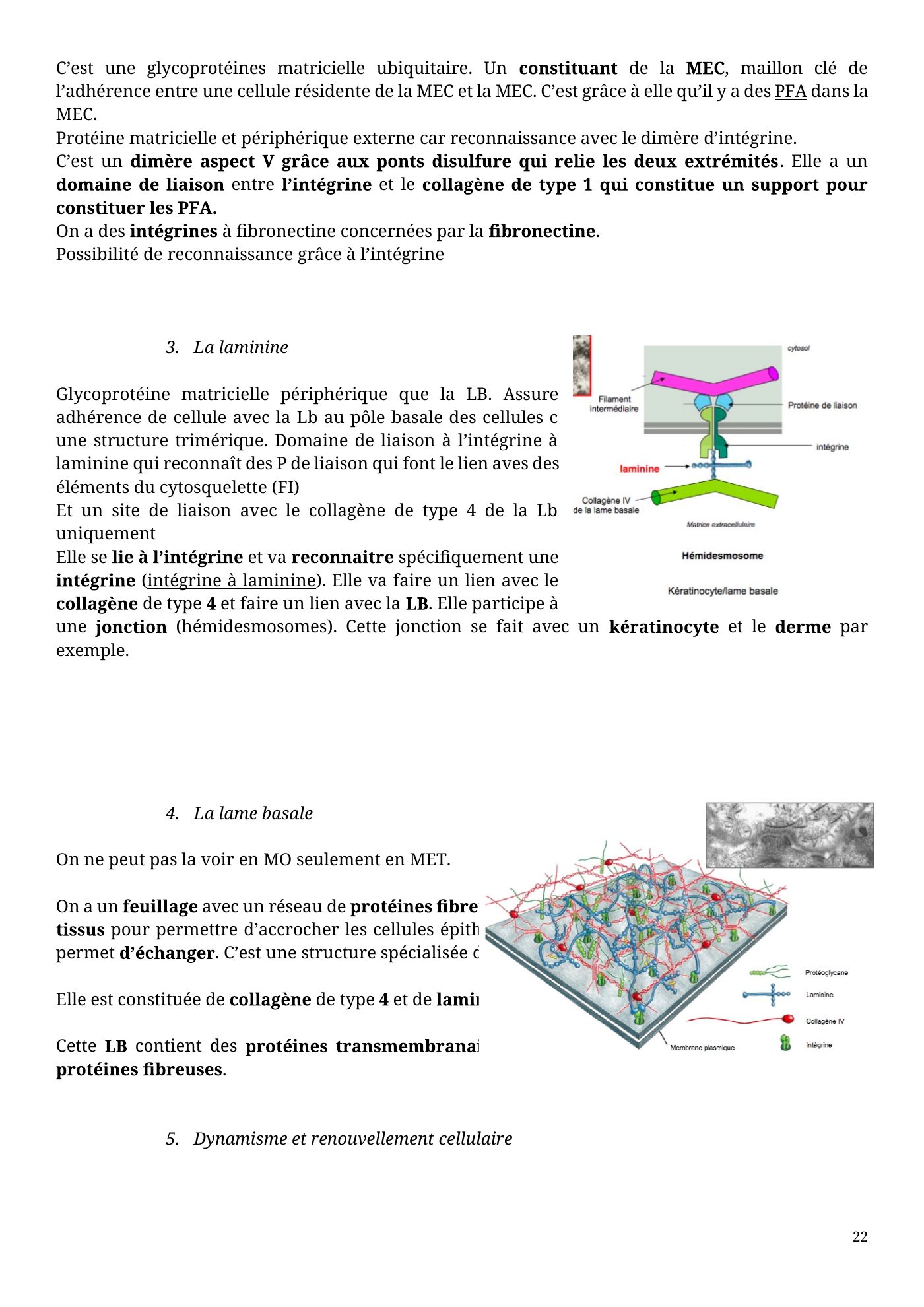 Architecture membranaire — page 22
