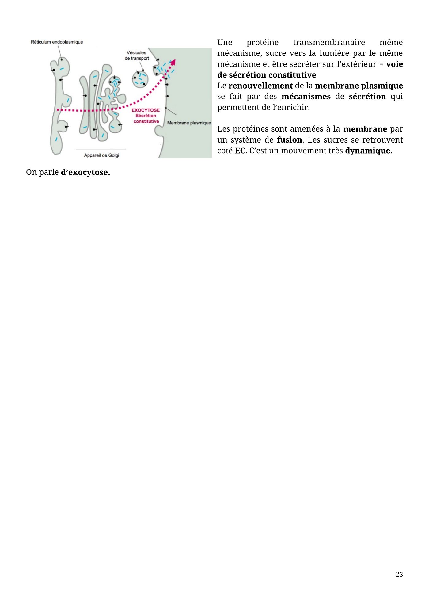 Architecture membranaire — page 23
