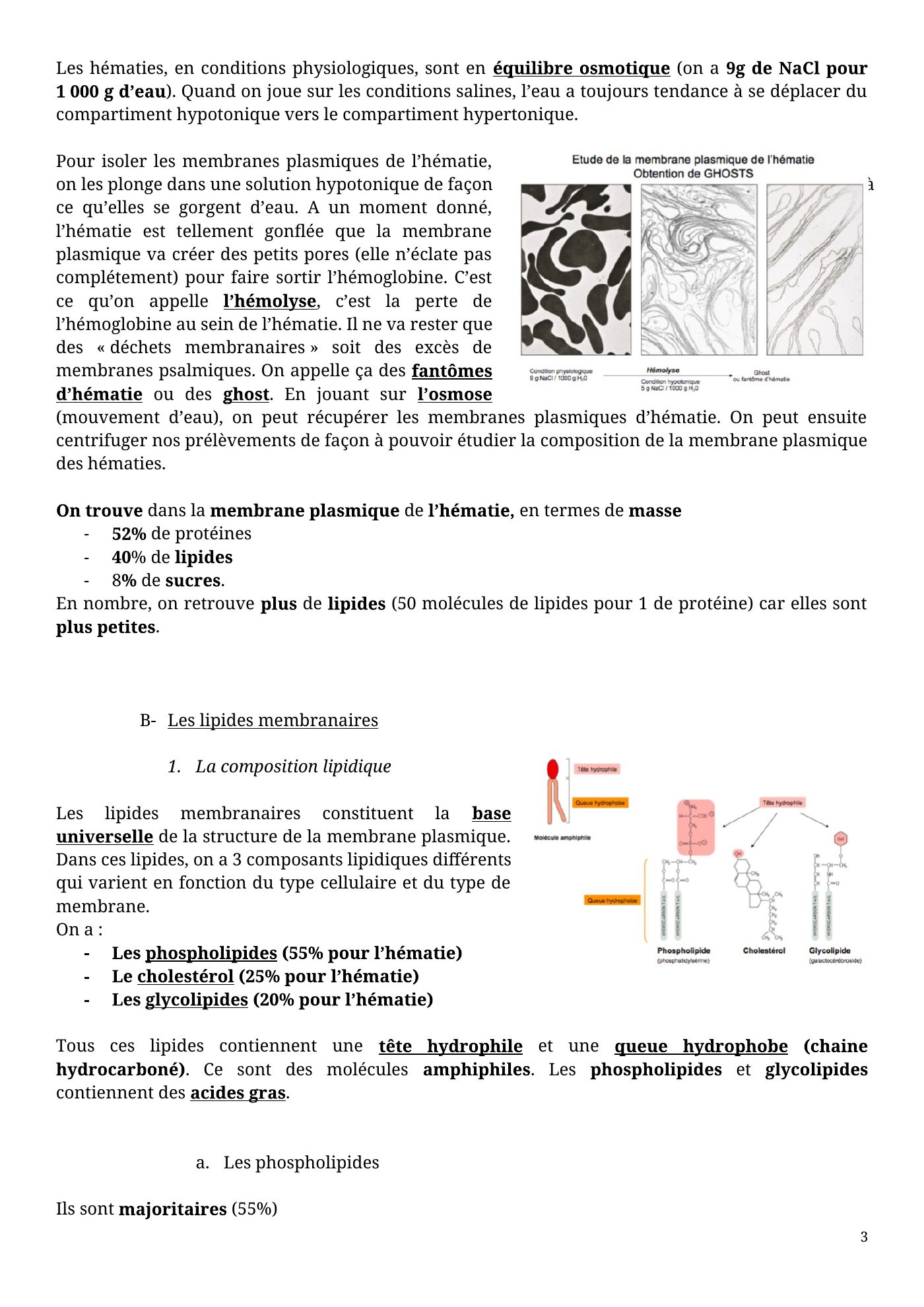 Architecture membranaire — page 3