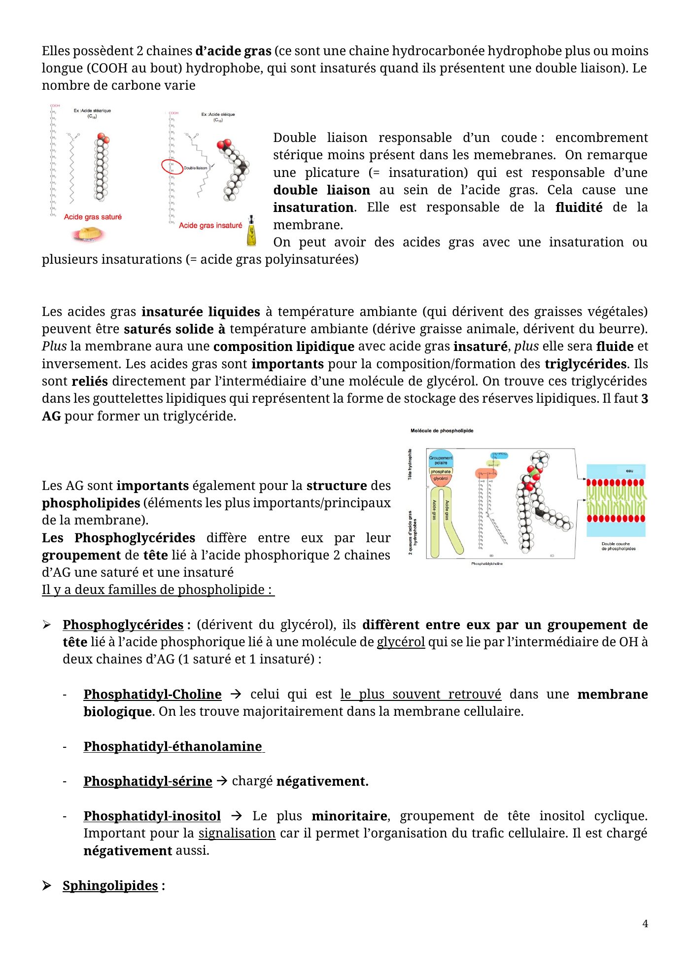 Architecture membranaire — page 4
