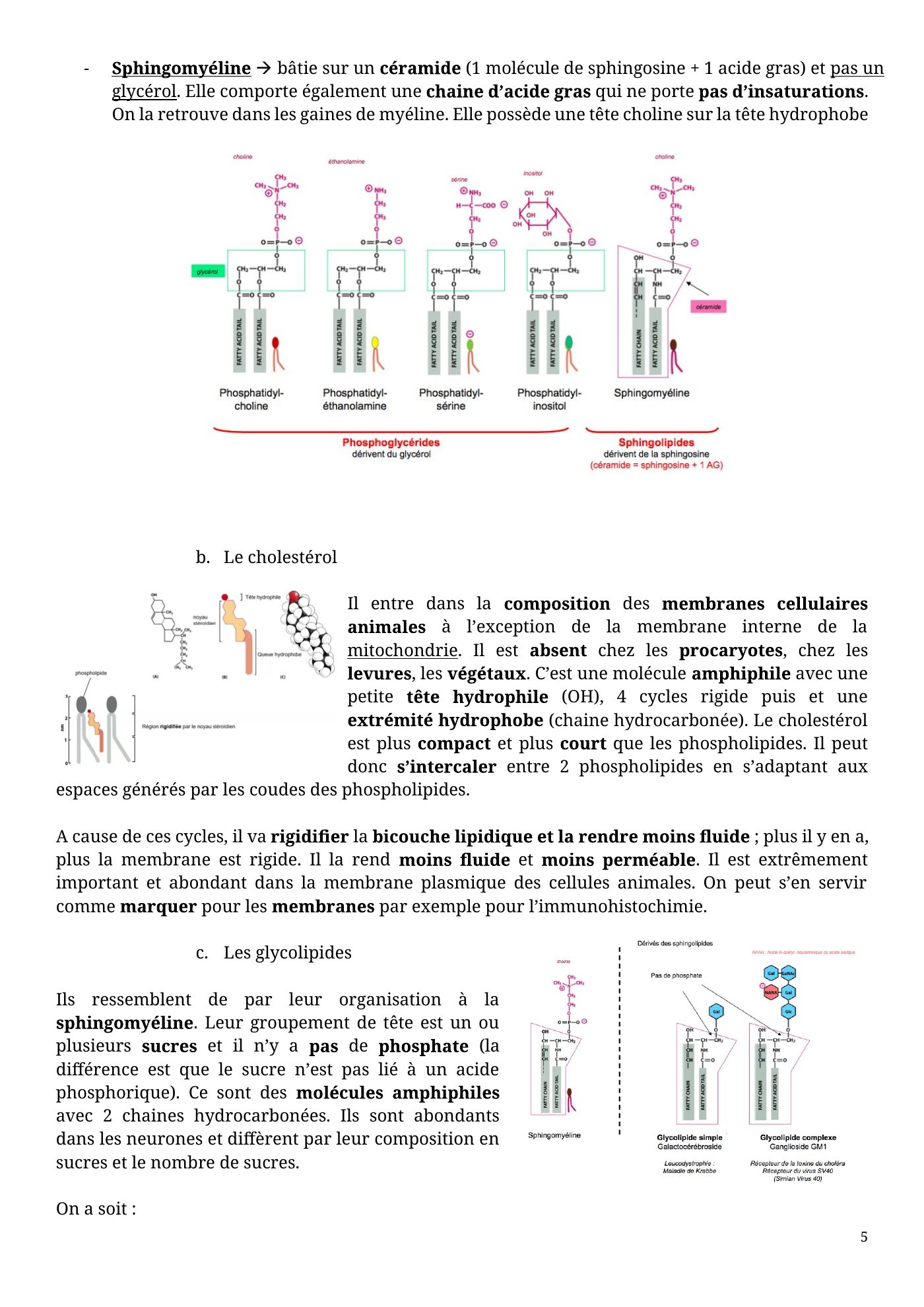 Architecture membranaire — page 5