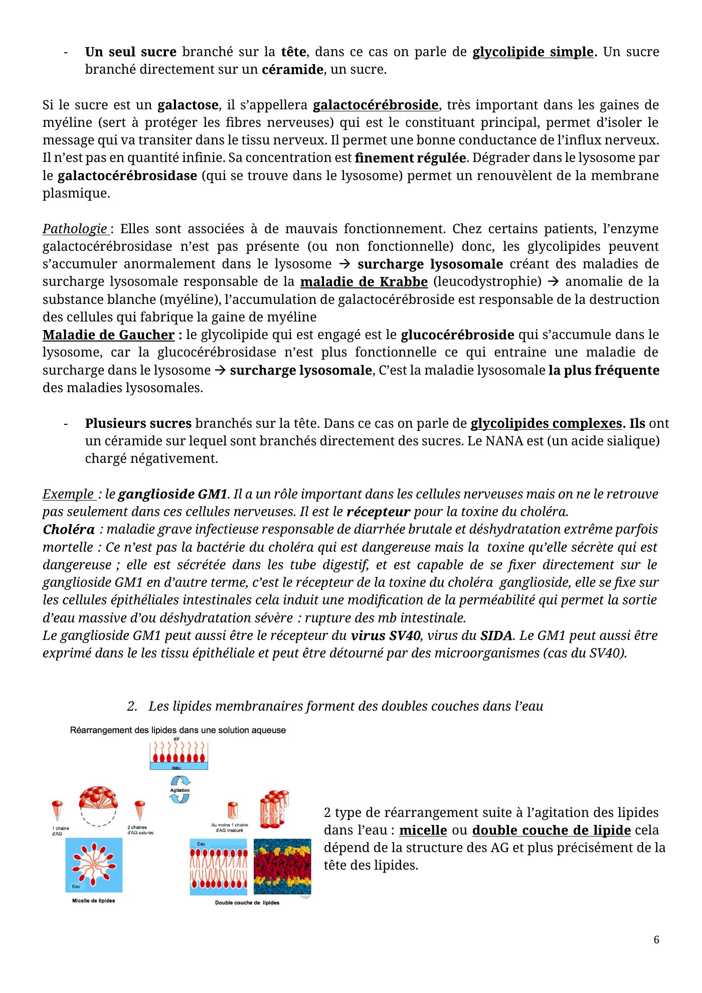 Architecture membranaire — page 6