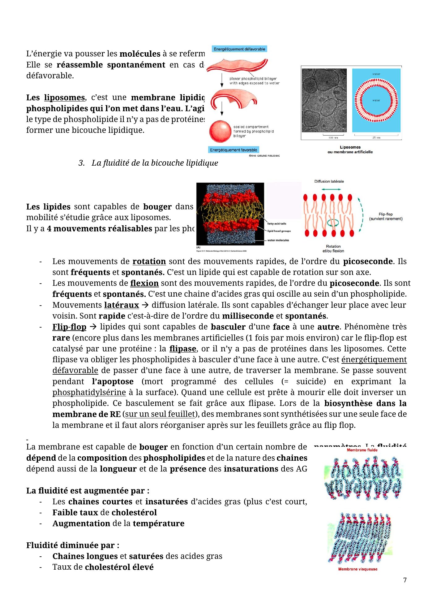 Architecture membranaire — page 7