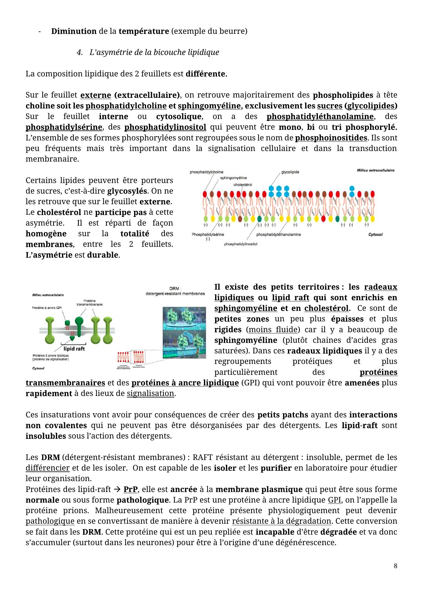 Architecture membranaire — page 8