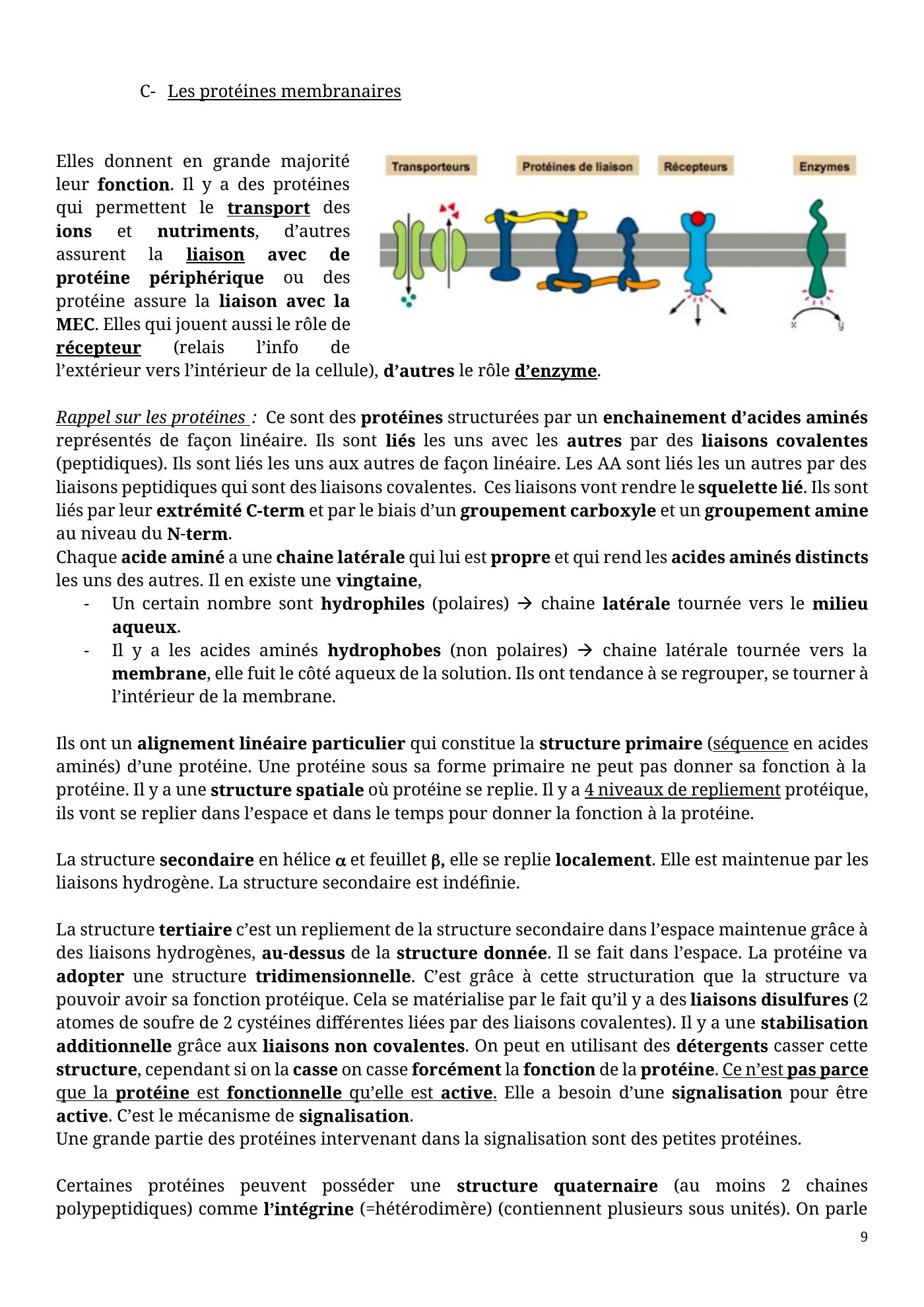 Architecture membranaire — page 9